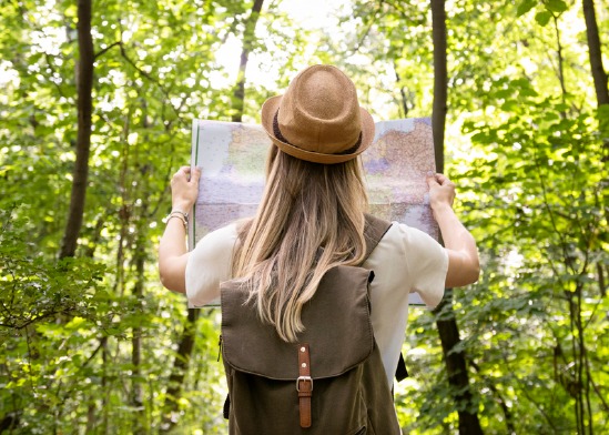 Immagine Vacanze di Natale sempre più green: tre viaggiatori su quattro pronti a scegliere la sostenibilità
