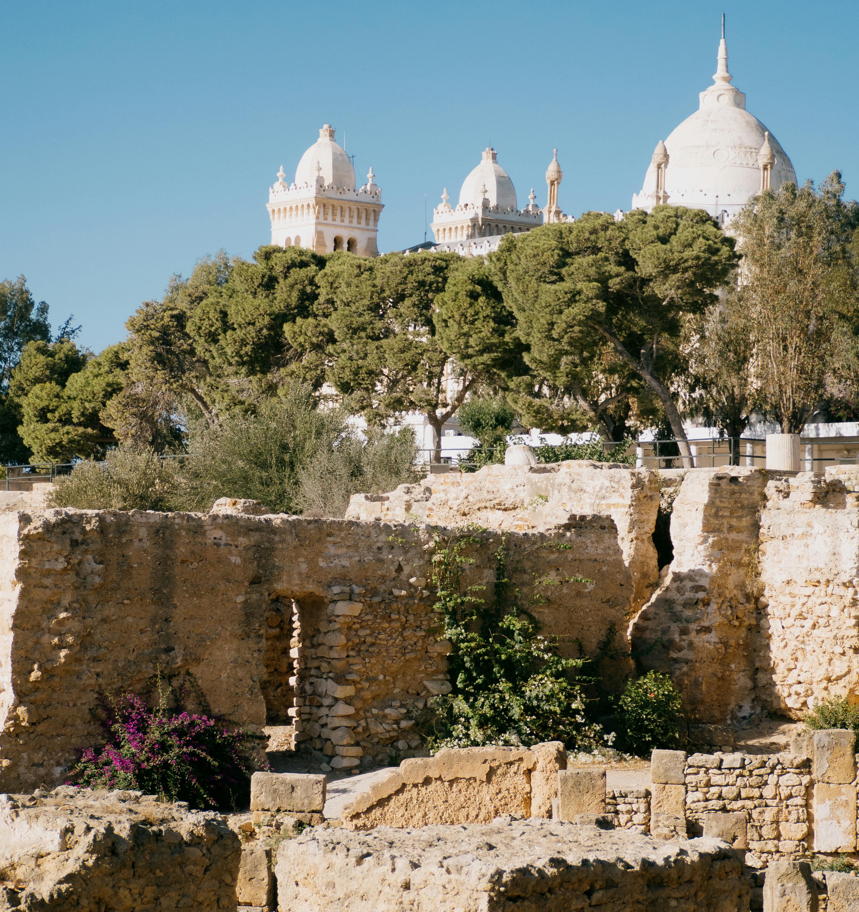 Immagine Tunisia protagonista alla BIT 2026: turismo culturale, avventura e geoturismo