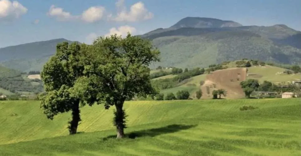 Immagine Nasce la Strada del Miele di Macerata