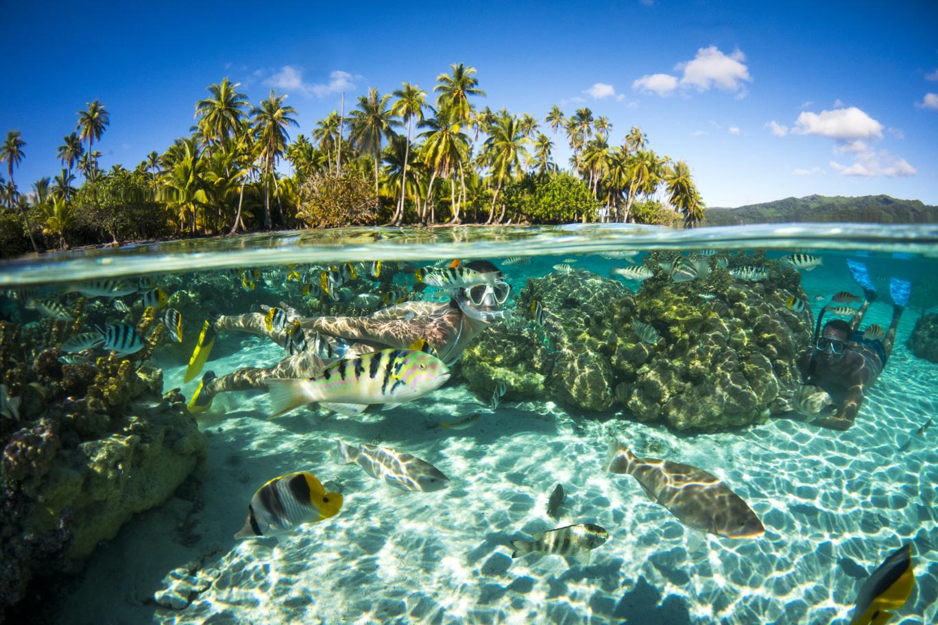 Immagine di sfondo della pagina Go Australia, nuovi tour a Tahiti