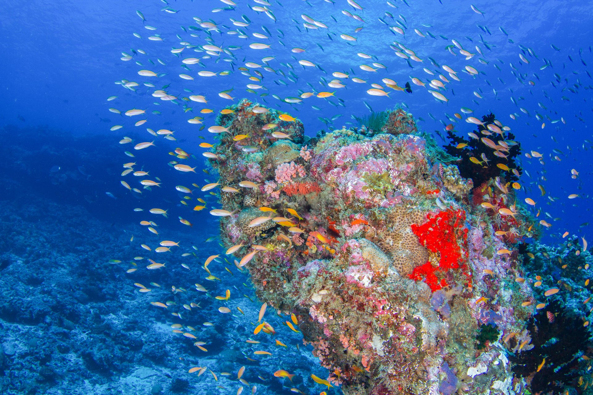 Immagine Natale e Capodanno 2026 alle Seychelles: esperienze e itinerari da scoprire