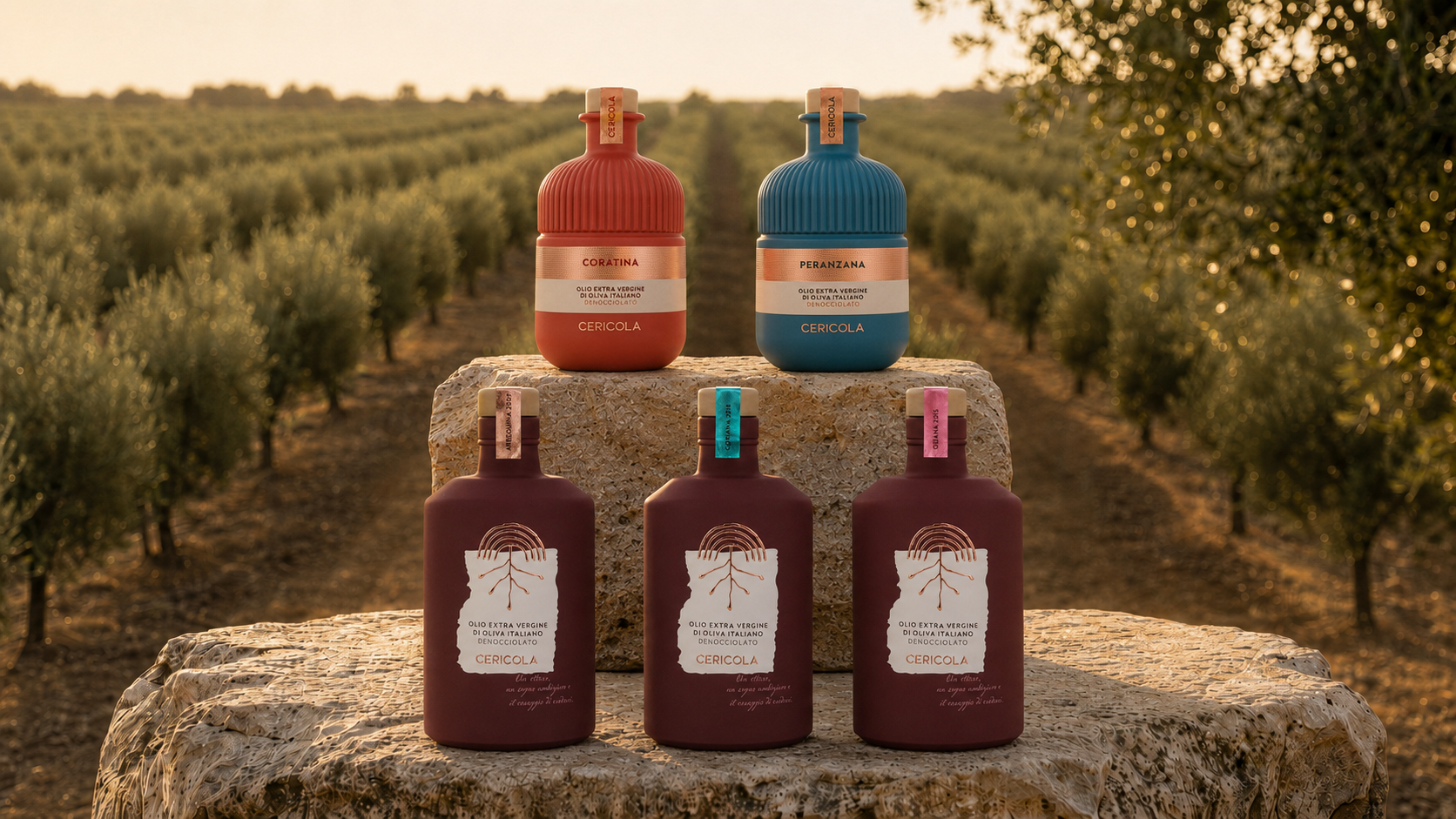 Immagine Oleificio Cericola: il turismo come esperienza autentica del territorio pugliese attraverso l’olio extravergine e l’apertura ai mercati internazionali