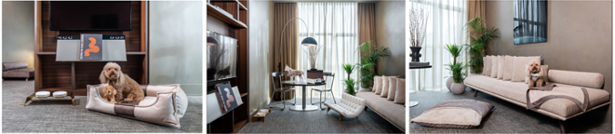 Immagine ME Milan Il Duca lancia la “MEME Suite”, prima suite pensata per gli ospiti a quattro zampe