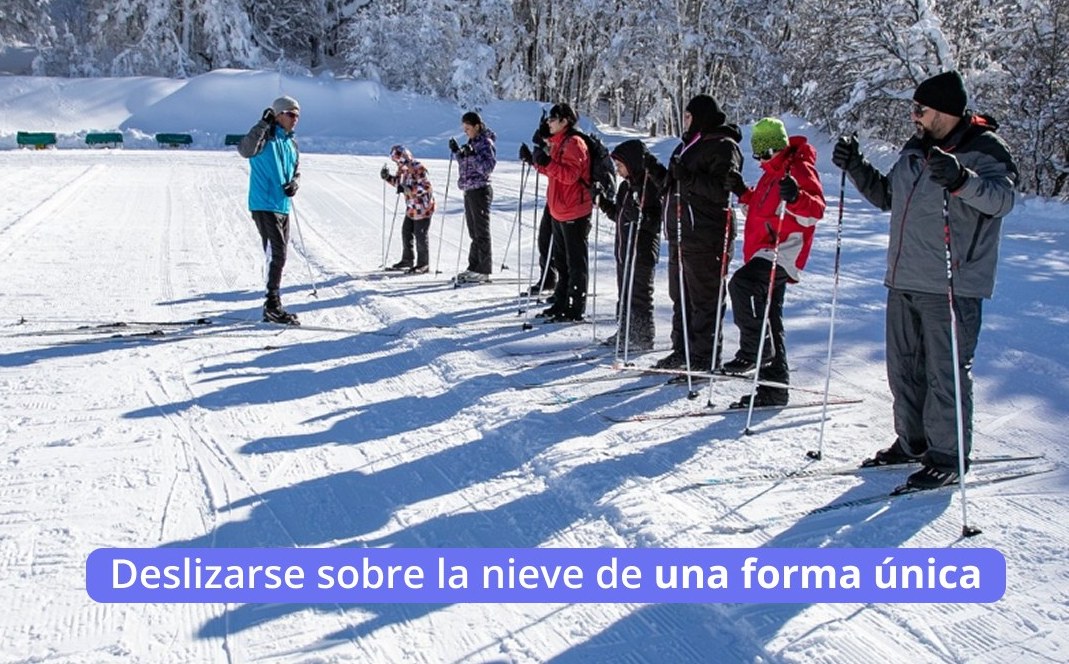 Immagine di sfondo della pagina AMV Travel lancia crociere esclusive verso il Continente Bianco