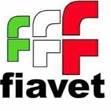 Immagine Fiavet: un webinar su voli e disabilità