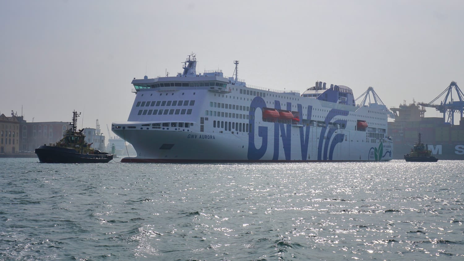 Immagine GNV Aurora arriva a Genova: la nuova nave a GNL debutterà sulla rotta Genova-Palermo