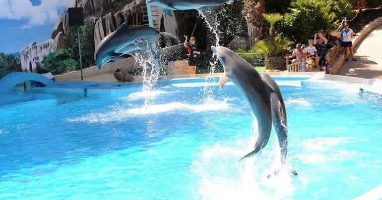 Immagine di sfondo della pagina Zoomarine, accordo con Rainbow MagicLand