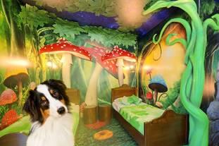 Immagine di sfondo della pagina Gardaland Resort, gli hotel diventano pet friendly