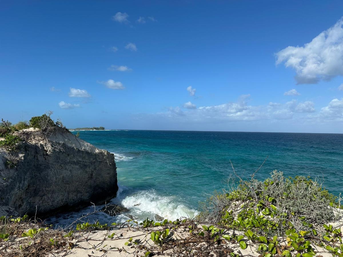 Immagine Blue Lagoon Island inaugura la nuova Adults-Only Beach sostenibile