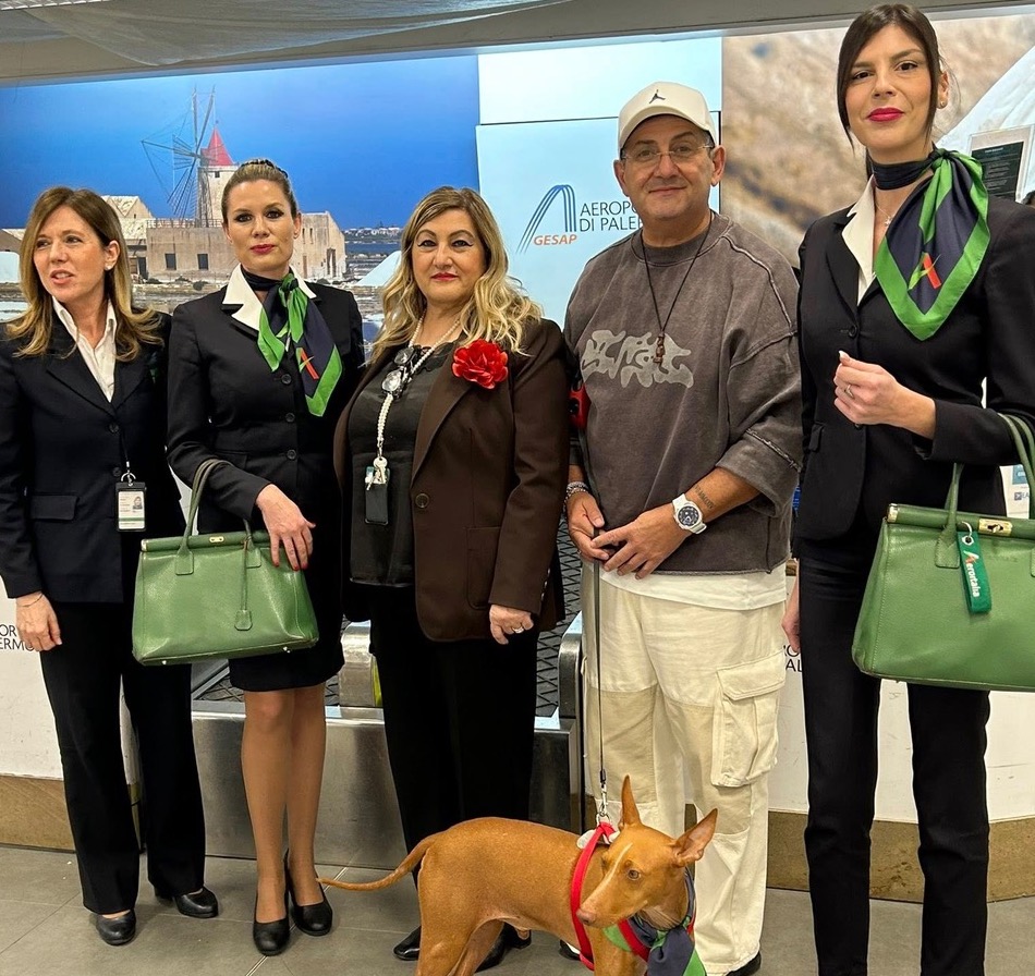 Immagine Aeroitalia effettua il primo test flight per cani di grossa taglia da Palermo a Roma