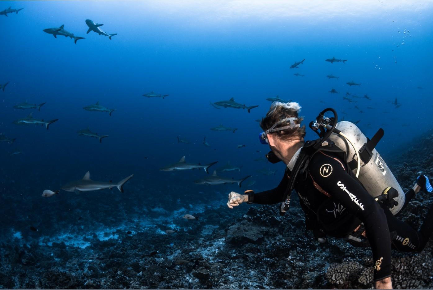 Immagine di sfondo della pagina Tahiti Tourisme, un fam trip sul diving