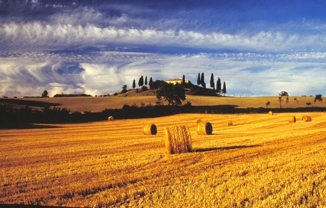 Immagine di sfondo della pagina Toscana, obiettivo ripartenza