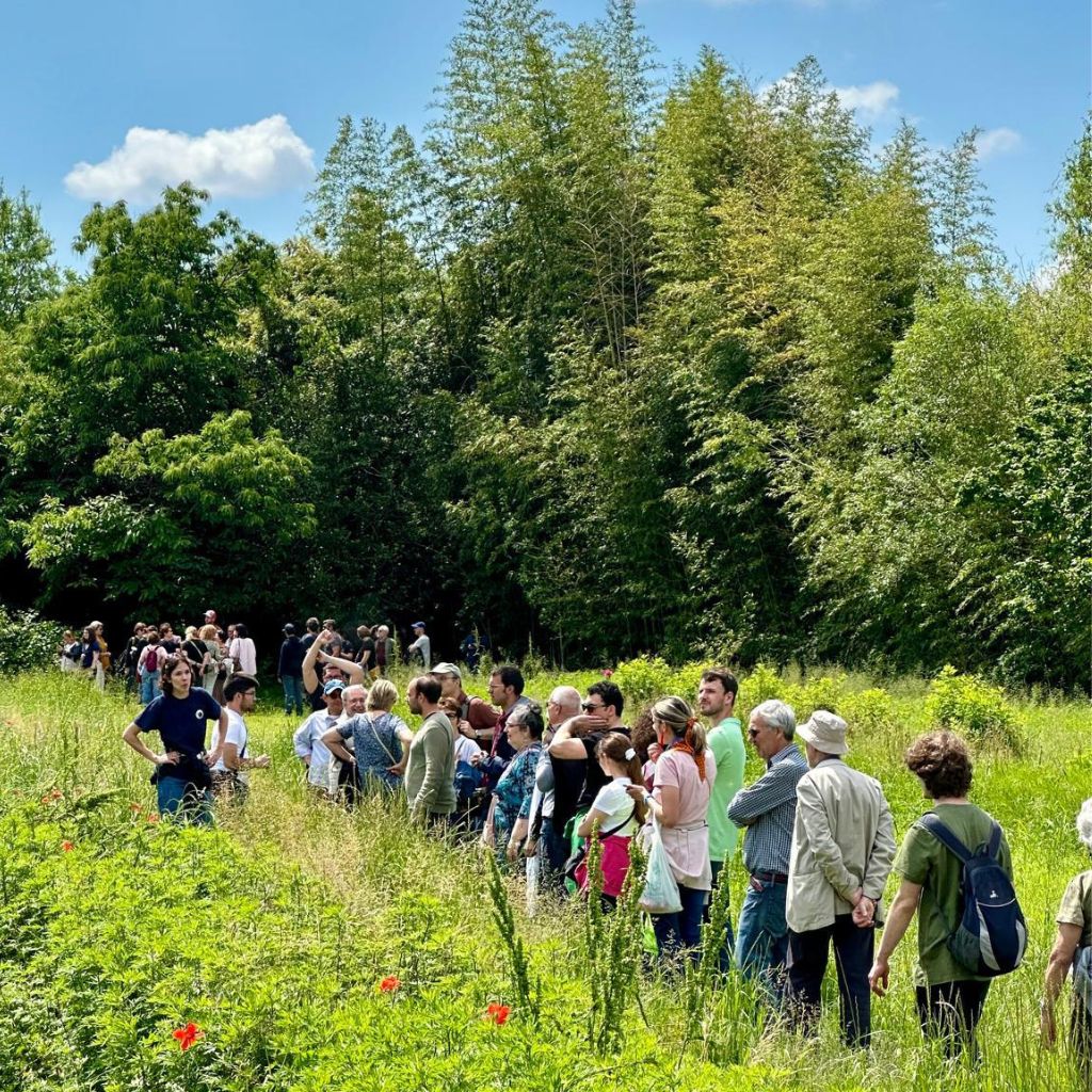 Immagine di sfondo della pagina Giardino di Fondazione La Comune: un evento tra natura, accessibilità e inclusione per persone con disabilità