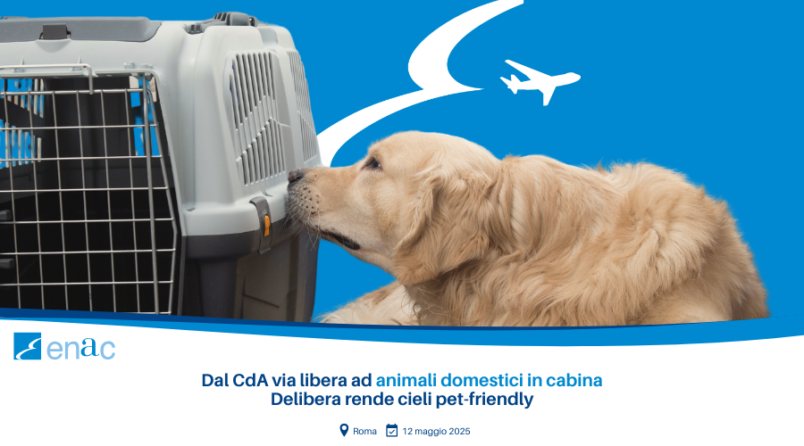 Immagine di sfondo della pagina Animali in volo: le nuove Linee Guida ENAC per il trasporto in cabina