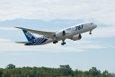 Immagine di sfondo della pagina Ana, un successo per il Dreamliner