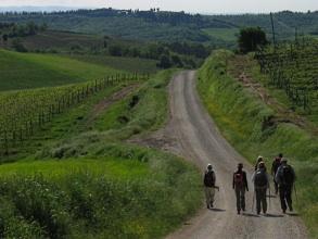 Immagine di sfondo della pagina Con Trekking Italia un itinerario Firenze Roma sulla Via Francigena 
