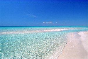 Immagine di sfondo della pagina Puglia e Dintorni sbarca al TTG Incontri 