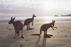 Immagine di sfondo della pagina Nuovo catalogo Discover Australia: viaggi di gruppo in esclusiva e libertà organizzata