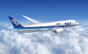 Immagine di sfondo della pagina Boeing e ANA festeggiano il 100.000° volo del 787 Dreamliner