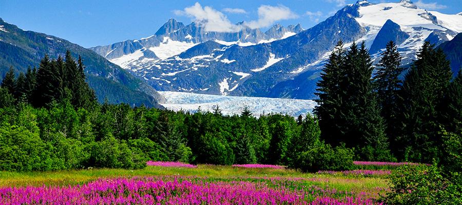 Immagine di sfondo della pagina Gioco Viaggi amplia offerta su Alaska