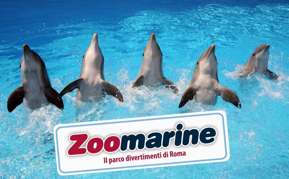 Immagine di sfondo della pagina Nasce Zoomarine Travel 