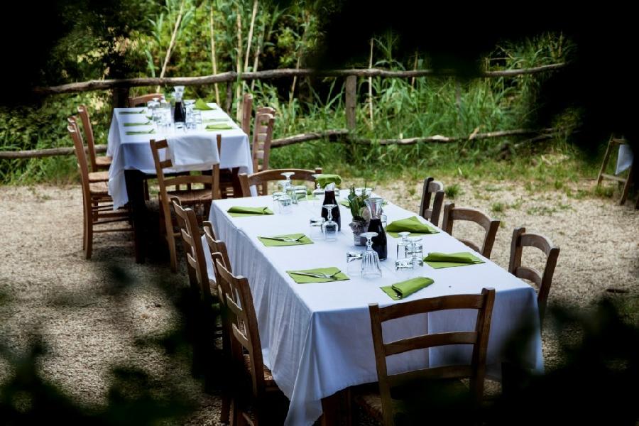 Immagine di sfondo della pagina Agriturismo.it lancia la sezione "Ristorante"