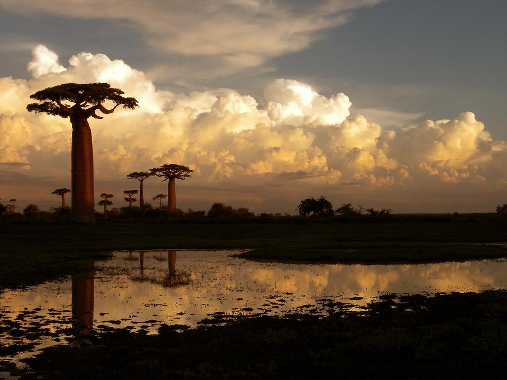 Immagine di sfondo della pagina Oceano Indiano e Madagascar del Diamante
