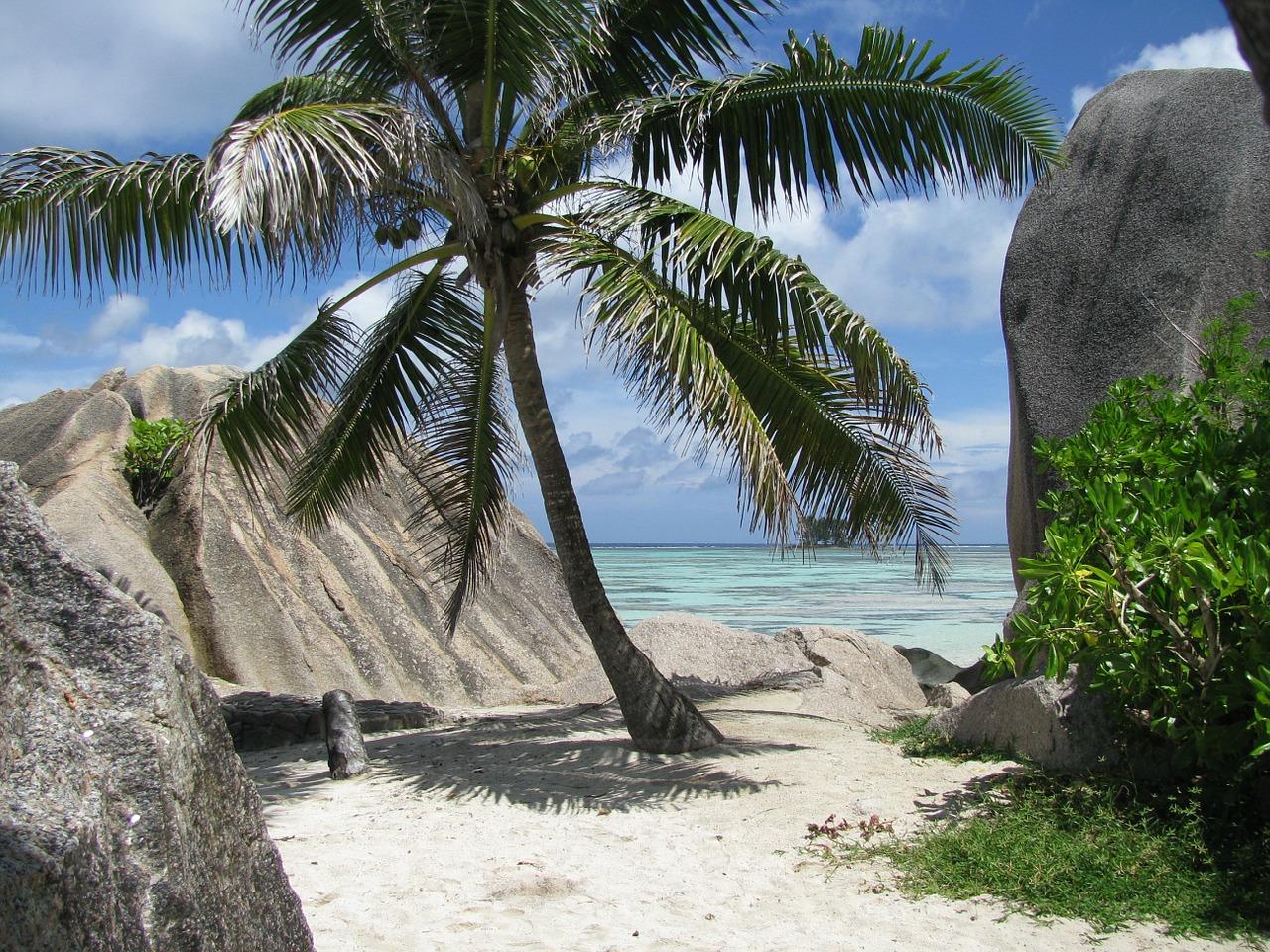 Immagine di sfondo della pagina La Fabbrica dei sogni vola alle Seychelles