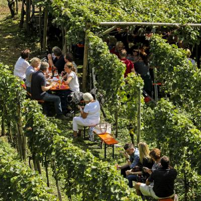Immagine di sfondo della pagina Baden Württemberg, una vacanza tra cibo e natura