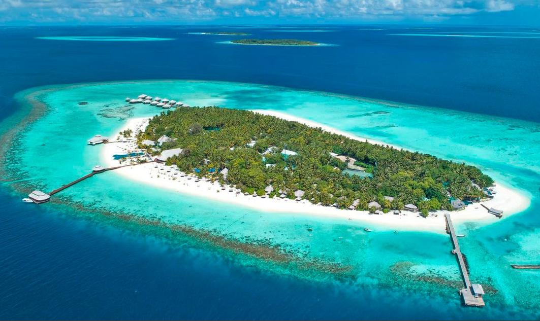 Immagine di sfondo della pagina Margo' lancia un nuovo monotematico sulle Maldive