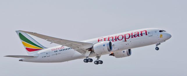 Immagine di sfondo della pagina Ethiopian Airlines: 3 voli non-stop da Milano MXP