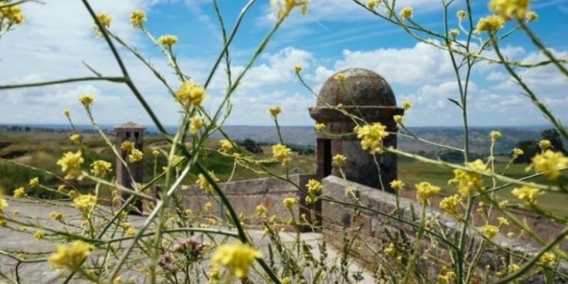 Immagine di sfondo della pagina #ReadPortugal il Portogallo si promuove con i libri