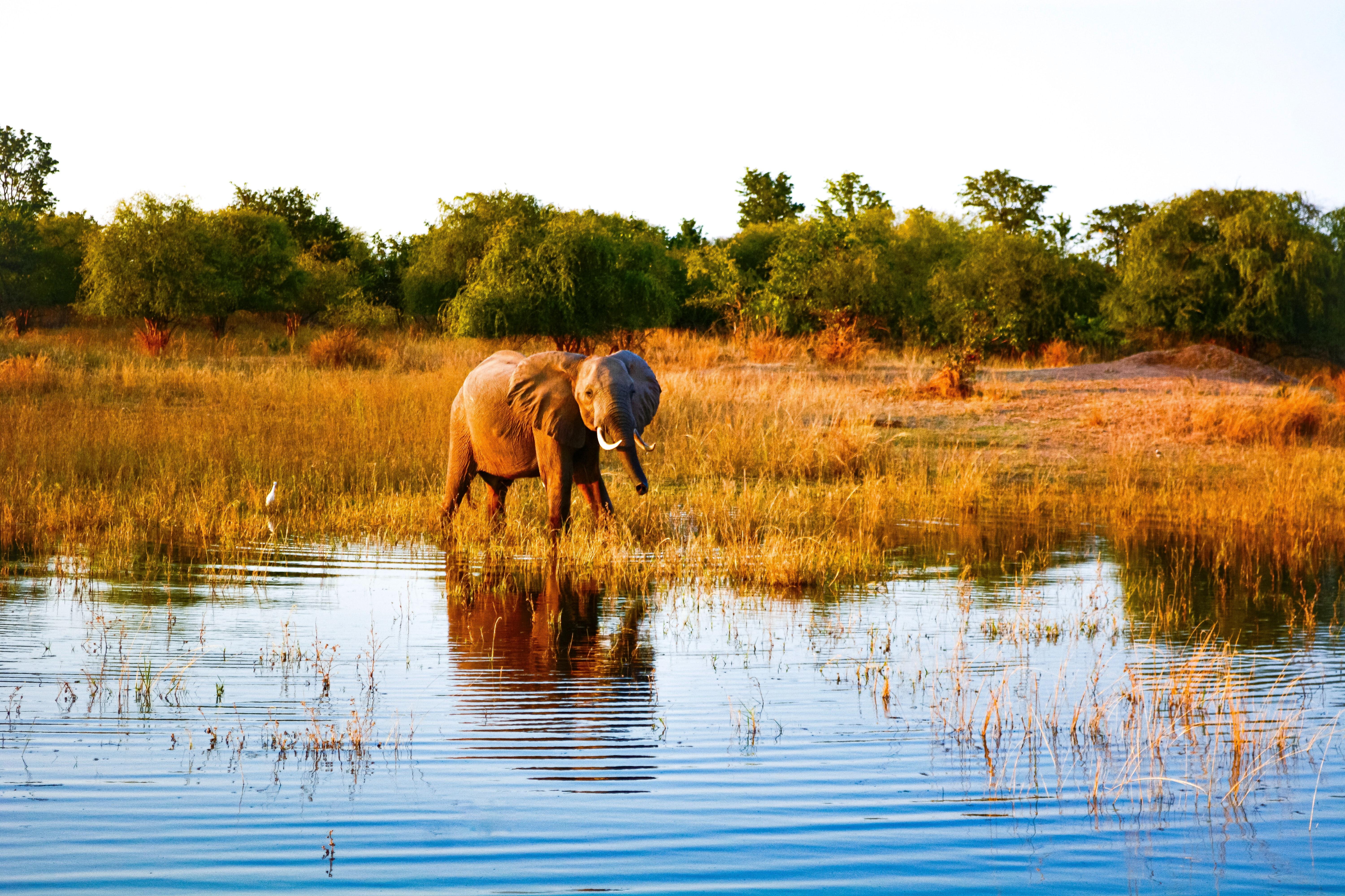 Immagine di sfondo della pagina African Explorer riparte dalla flessibilità 