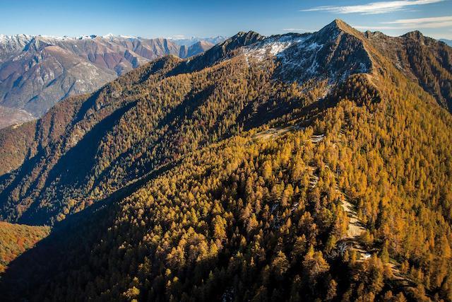 Immagine di sfondo della pagina Svizzera: le riserve naturali del Ticino